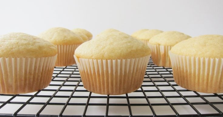 vanilla cupcakes without icing